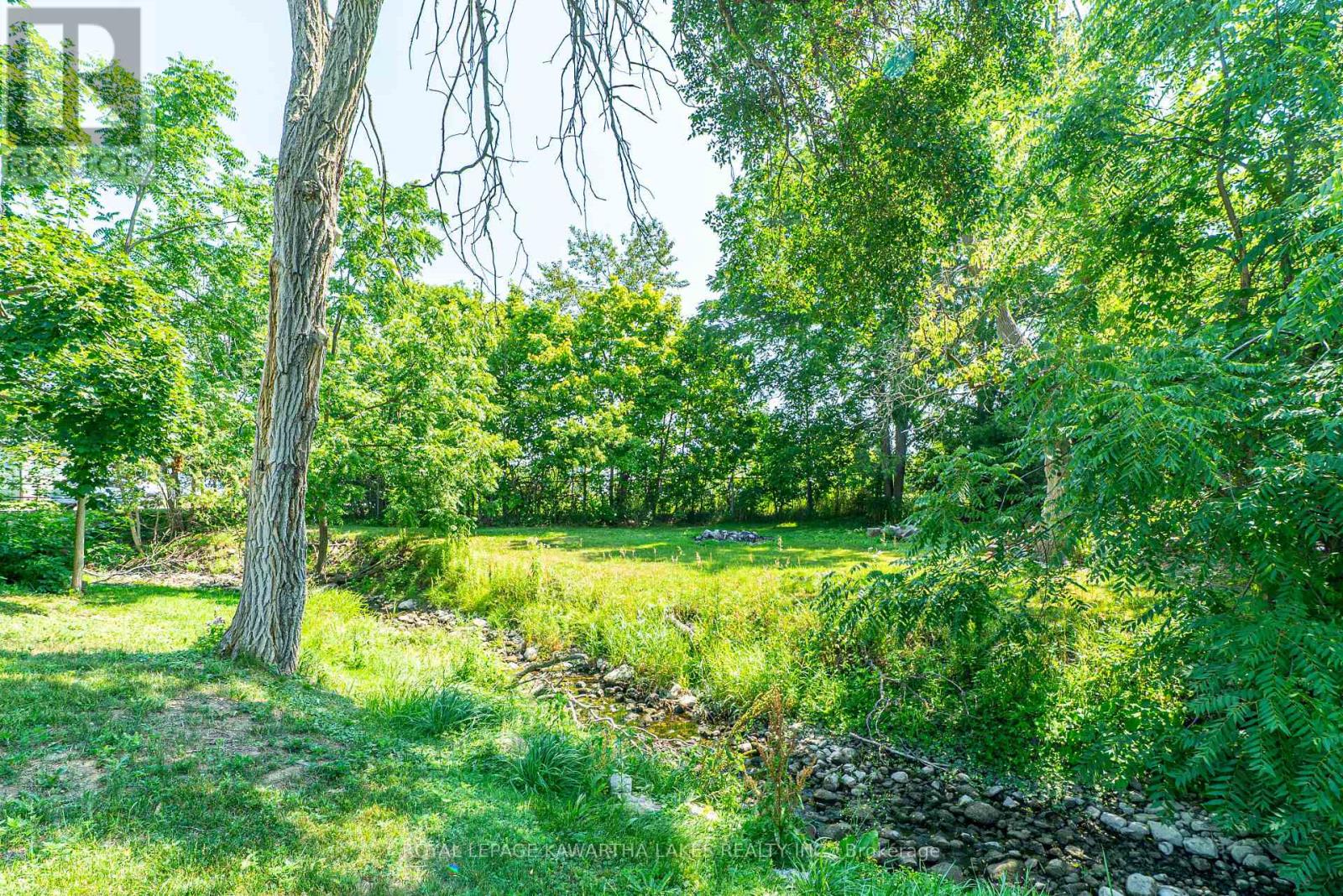 50 St Patrick Street, Kawartha Lakes, Ontario  K9V 1R3 - Photo 28 - X12291245