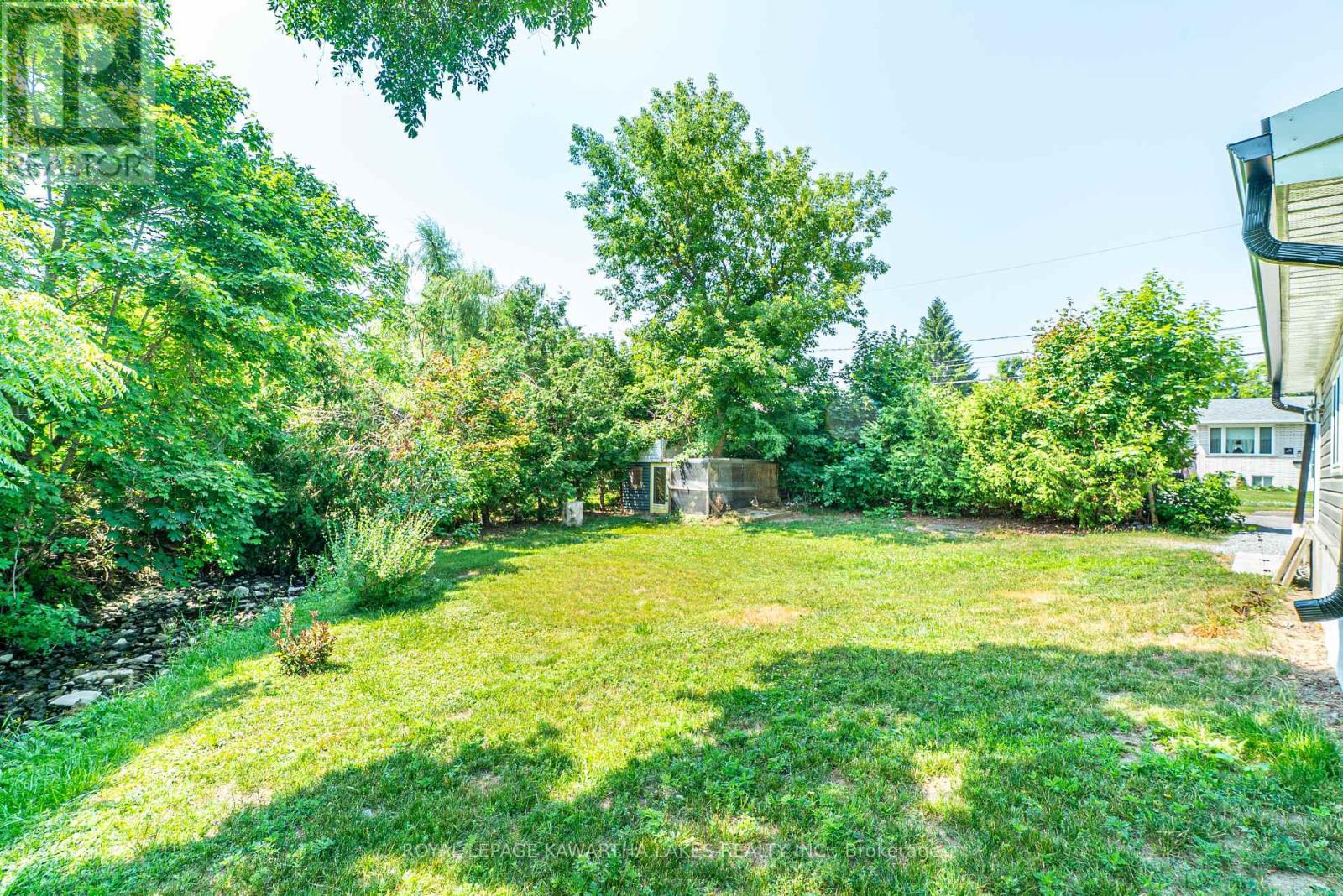 50 St Patrick Street, Kawartha Lakes, Ontario  K9V 1R3 - Photo 30 - X12291245