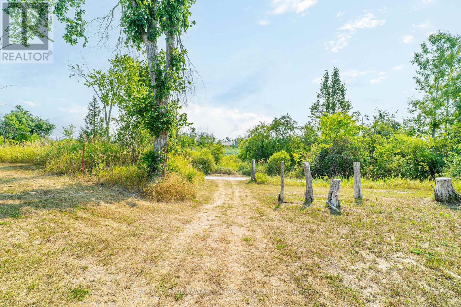 4170 Hwy 35, Kawartha Lakes, Ontario  K0M 1G0 - Photo 40 - X12327665