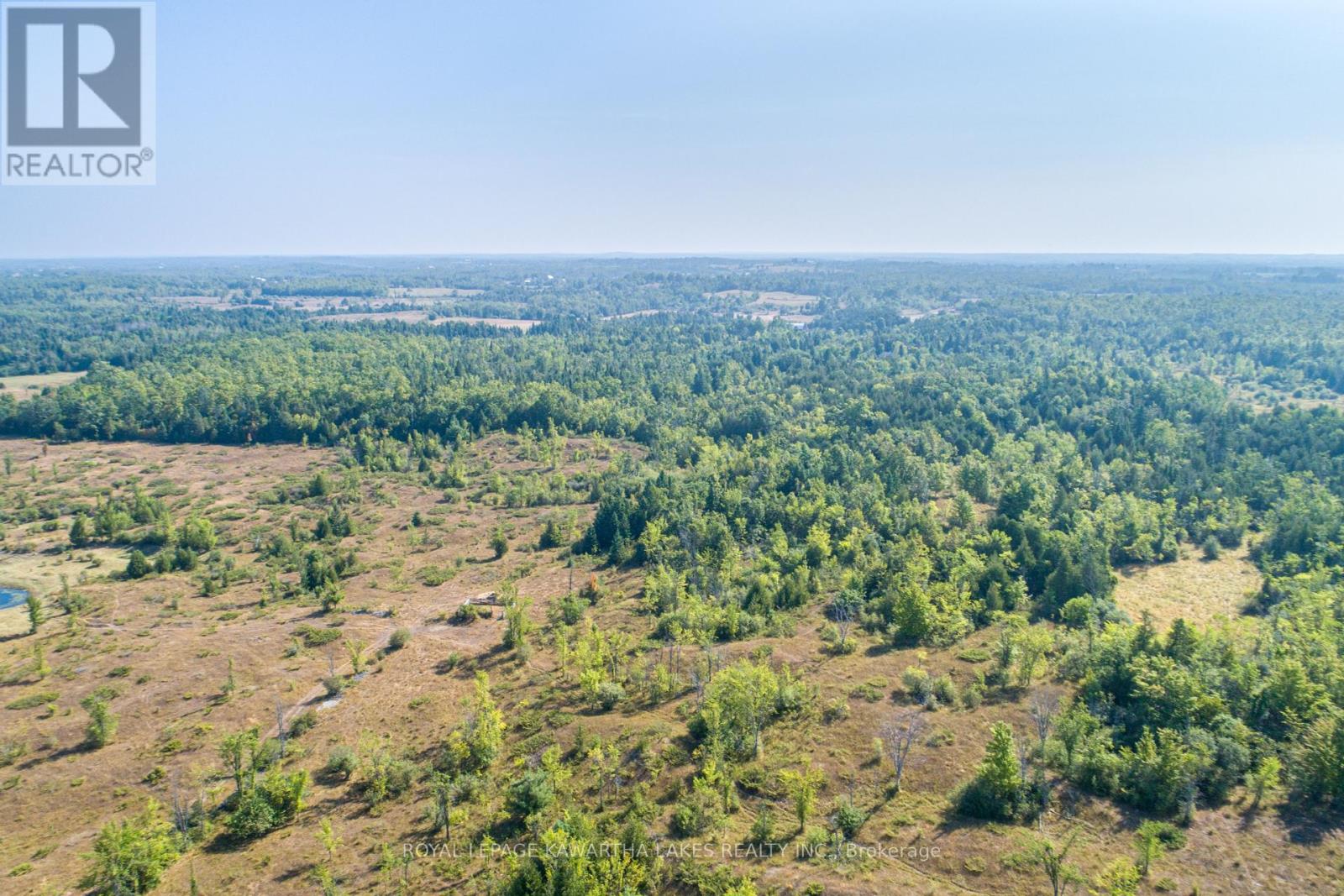 Pt Lt 29 Con 2, Kawartha Lakes, Ontario  K0M 1N0 - Photo 17 - X12339689