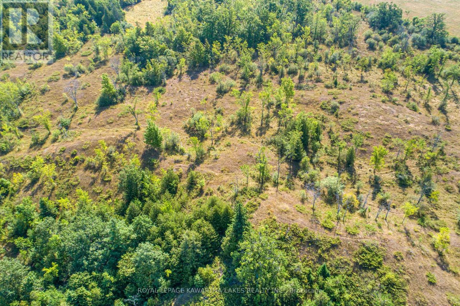 Pt Lt 29 Con 2, Kawartha Lakes, Ontario  K0M 1N0 - Photo 18 - X12339689
