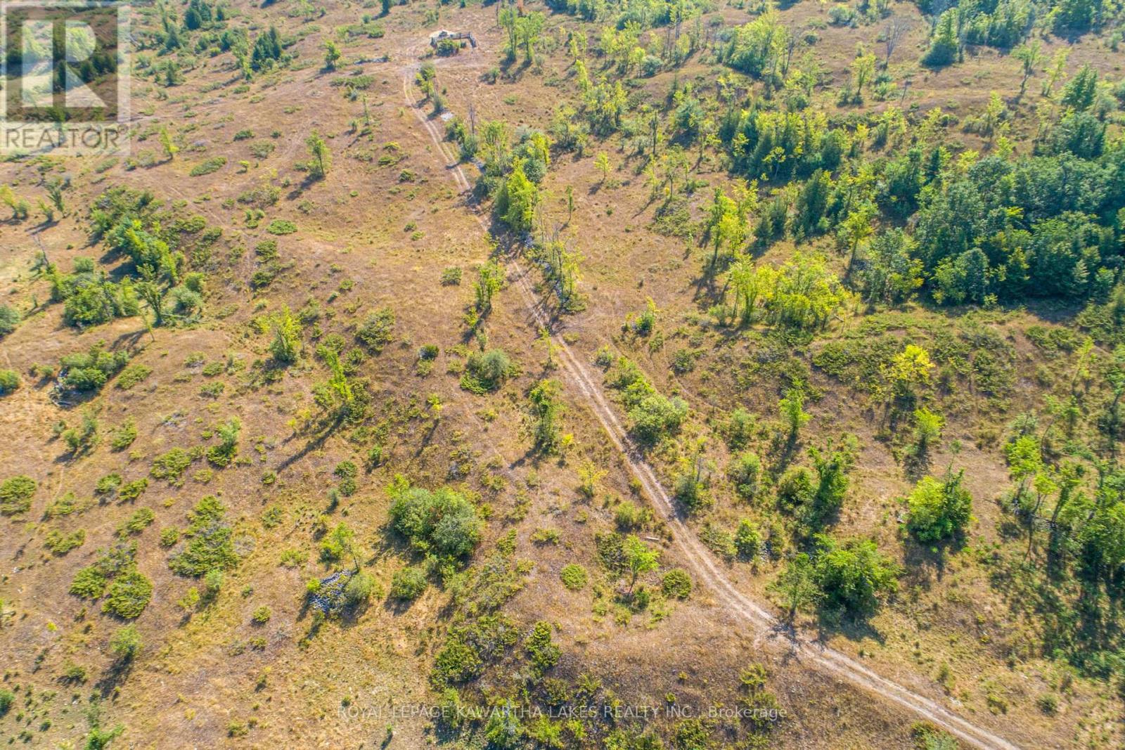 Pt Lt 29 Con 2, Kawartha Lakes, Ontario  K0M 1N0 - Photo 19 - X12339689