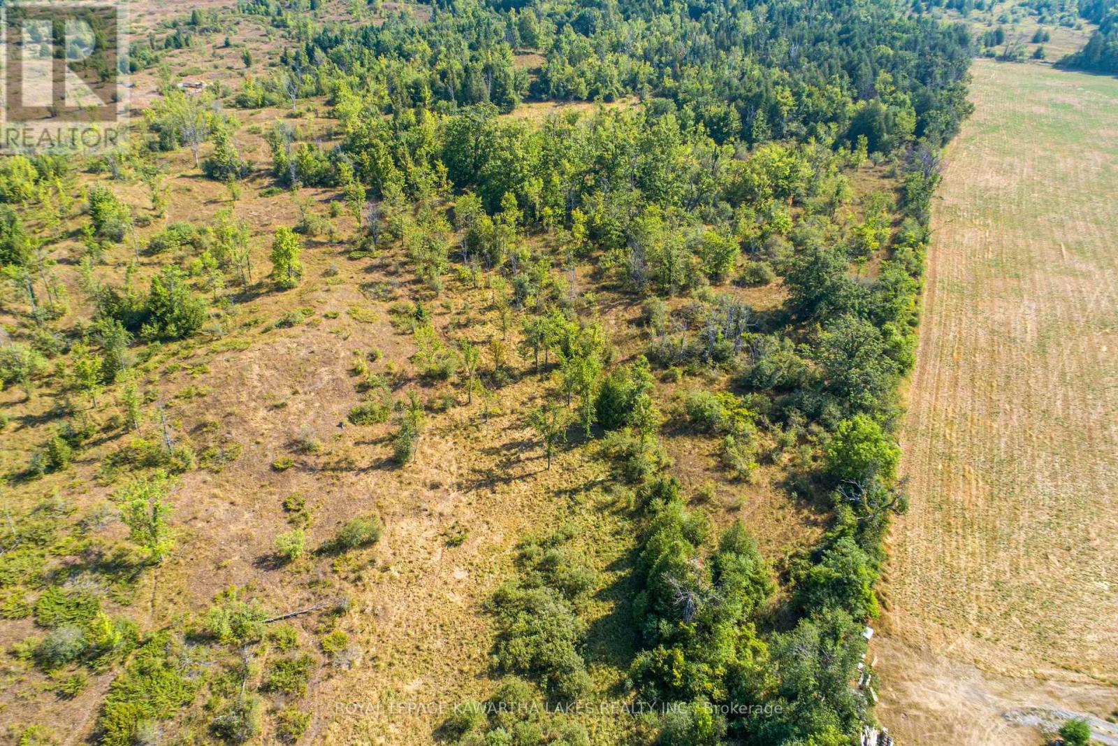 Pt Lt 29 Con 2, Kawartha Lakes, Ontario  K0M 1N0 - Photo 6 - X12339689