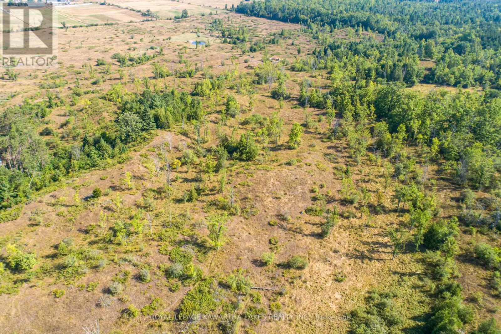 Pt Lt 29 Con 2, Kawartha Lakes, Ontario  K0M 1N0 - Photo 7 - X12339689