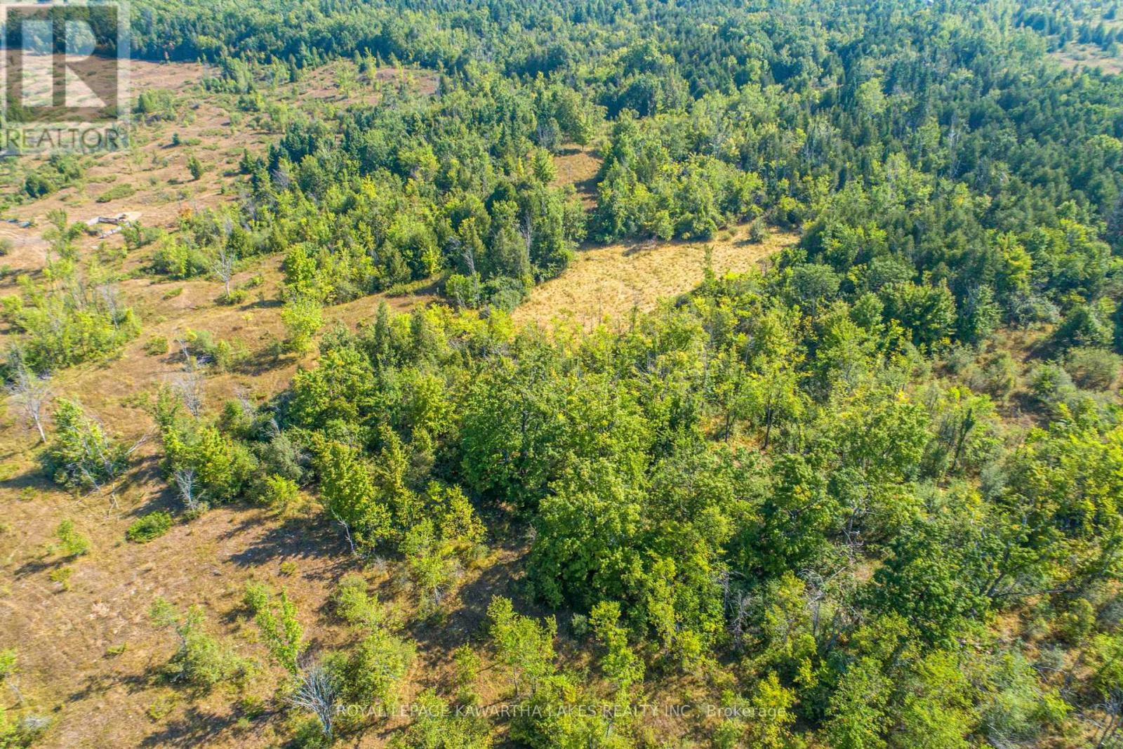 Pt Lt 29 Con 2, Kawartha Lakes, Ontario  K0M 1N0 - Photo 8 - X12339689