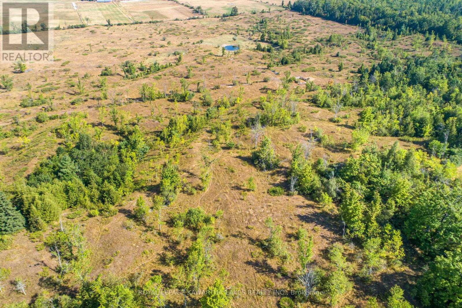 Pt Lt 29 Con 2, Kawartha Lakes, Ontario  K0M 1N0 - Photo 9 - X12339689