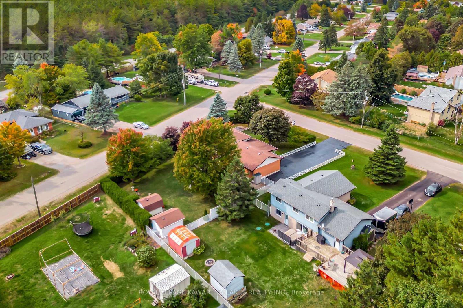 3 Pinewood Crescent, Kawartha Lakes, Ontario  L0A 1K0 - Photo 4 - X12424078