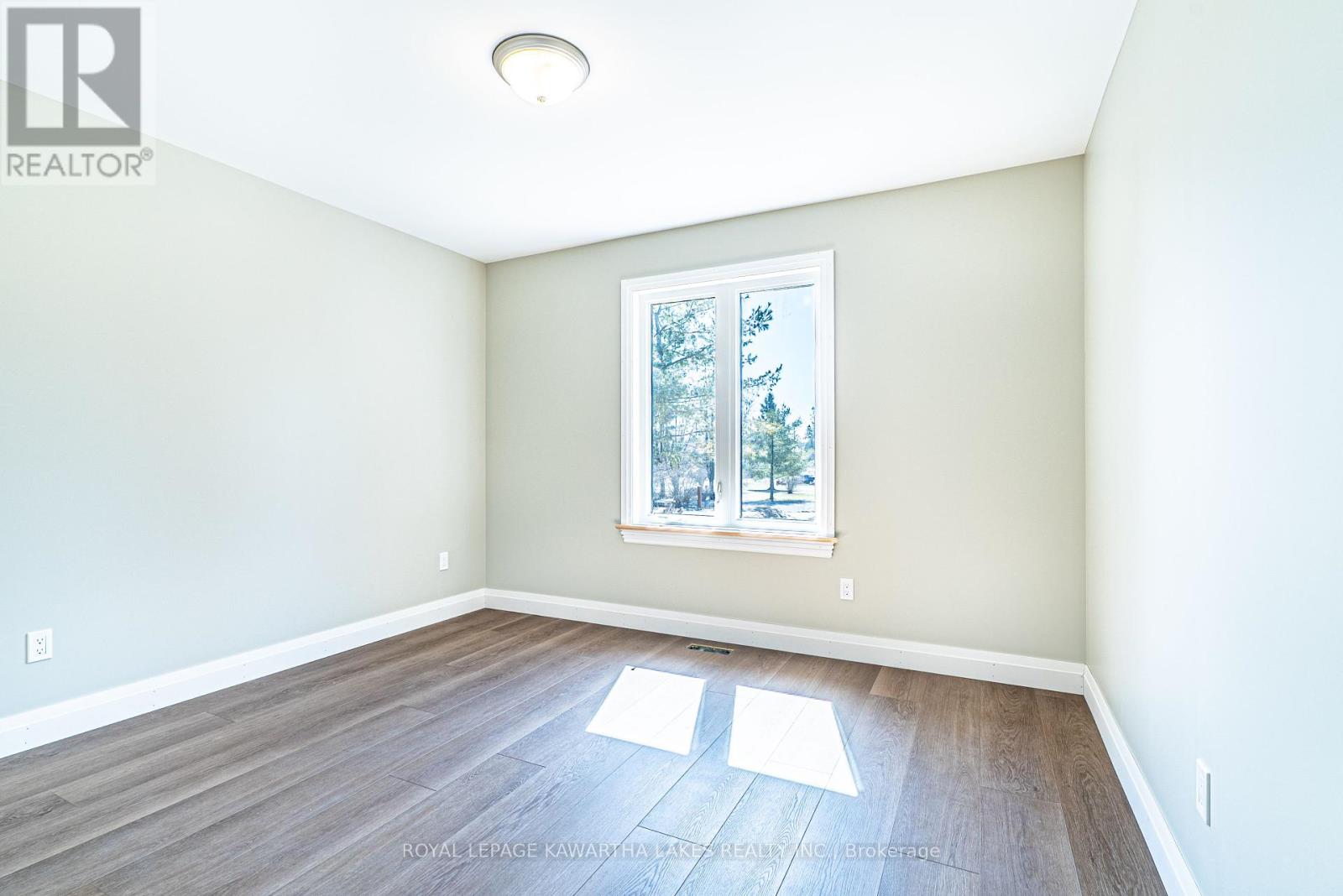 6 Patrick Street, Kawartha Lakes, Ontario  K0M 2B0 - Photo 12 - X12434489