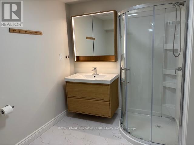 Lower - 1042 Skyline Road, Kawartha Lakes, Ontario  K0M 2M0 - Photo 10 - X12503210