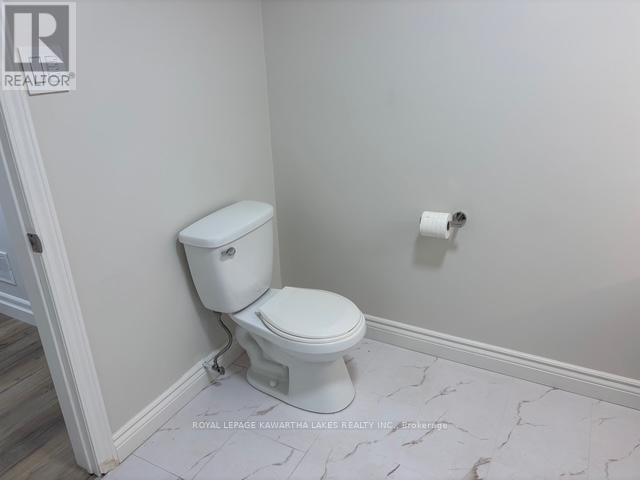Lower - 1042 Skyline Road, Kawartha Lakes, Ontario  K0M 2M0 - Photo 11 - X12503210