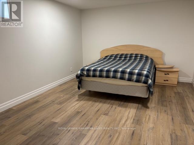 Lower - 1042 Skyline Road, Kawartha Lakes, Ontario  K0M 2M0 - Photo 12 - X12503210