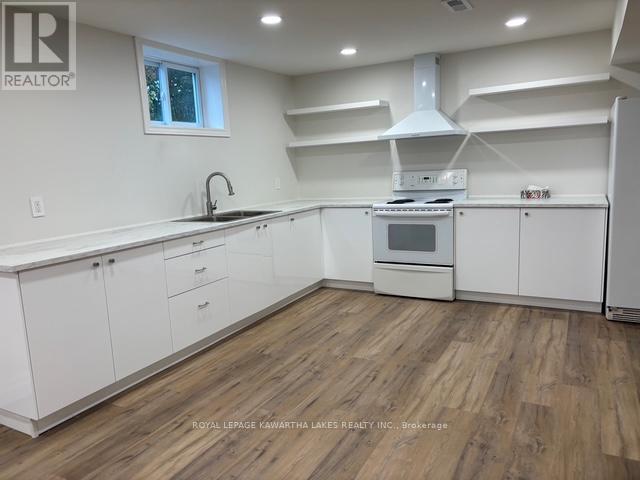 Lower - 1042 Skyline Road, Kawartha Lakes, Ontario  K0M 2M0 - Photo 3 - X12503210