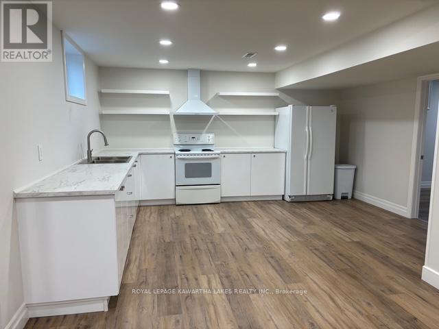 Lower - 1042 Skyline Road, Kawartha Lakes, Ontario  K0M 2M0 - Photo 4 - X12503210