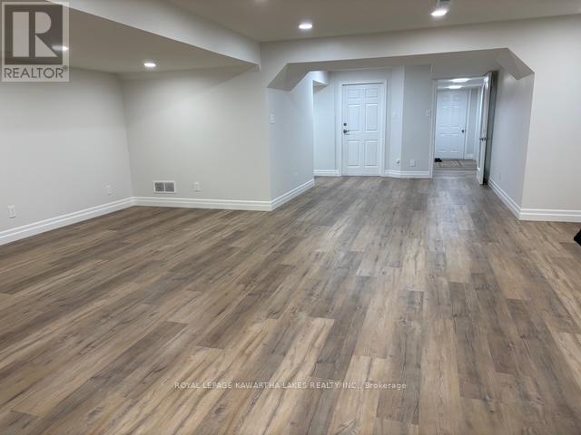 Lower - 1042 Skyline Road, Kawartha Lakes, Ontario  K0M 2M0 - Photo 5 - X12503210