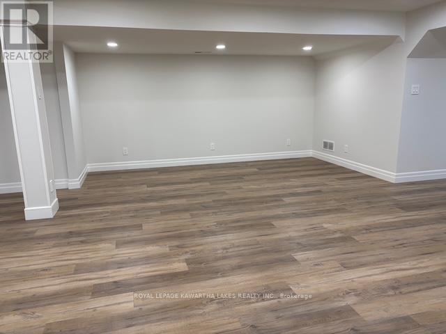 Lower - 1042 Skyline Road, Kawartha Lakes, Ontario  K0M 2M0 - Photo 6 - X12503210