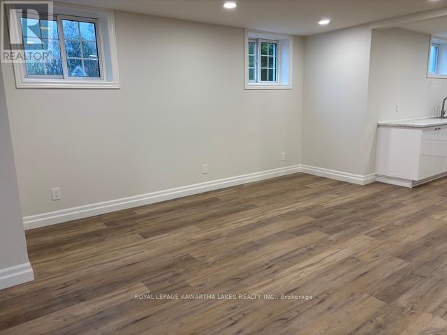 Lower - 1042 Skyline Road, Kawartha Lakes, Ontario  K0M 2M0 - Photo 7 - X12503210