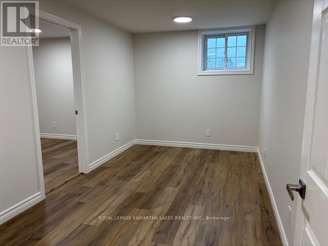 Lower - 1042 Skyline Road, Kawartha Lakes, Ontario  K0M 2M0 - Photo 8 - X12503210