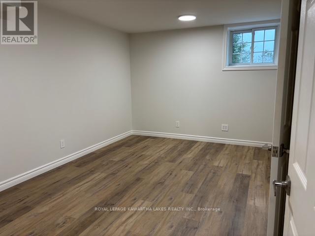 Lower - 1042 Skyline Road, Kawartha Lakes, Ontario  K0M 2M0 - Photo 9 - X12503210