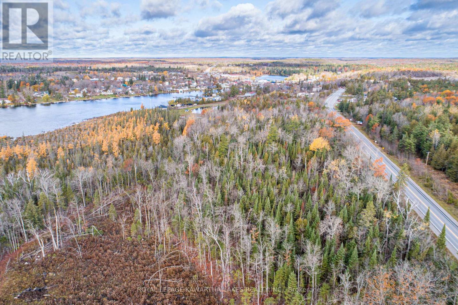 0 Duncombe Drive, Kawartha Lakes, Ontario  K0M 1K0 - Photo 10 - X12522630