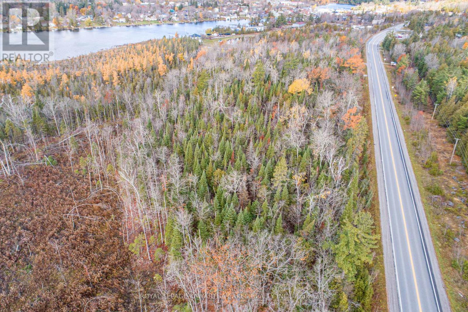 0 Duncombe Drive, Kawartha Lakes, Ontario  K0M 1K0 - Photo 11 - X12522630