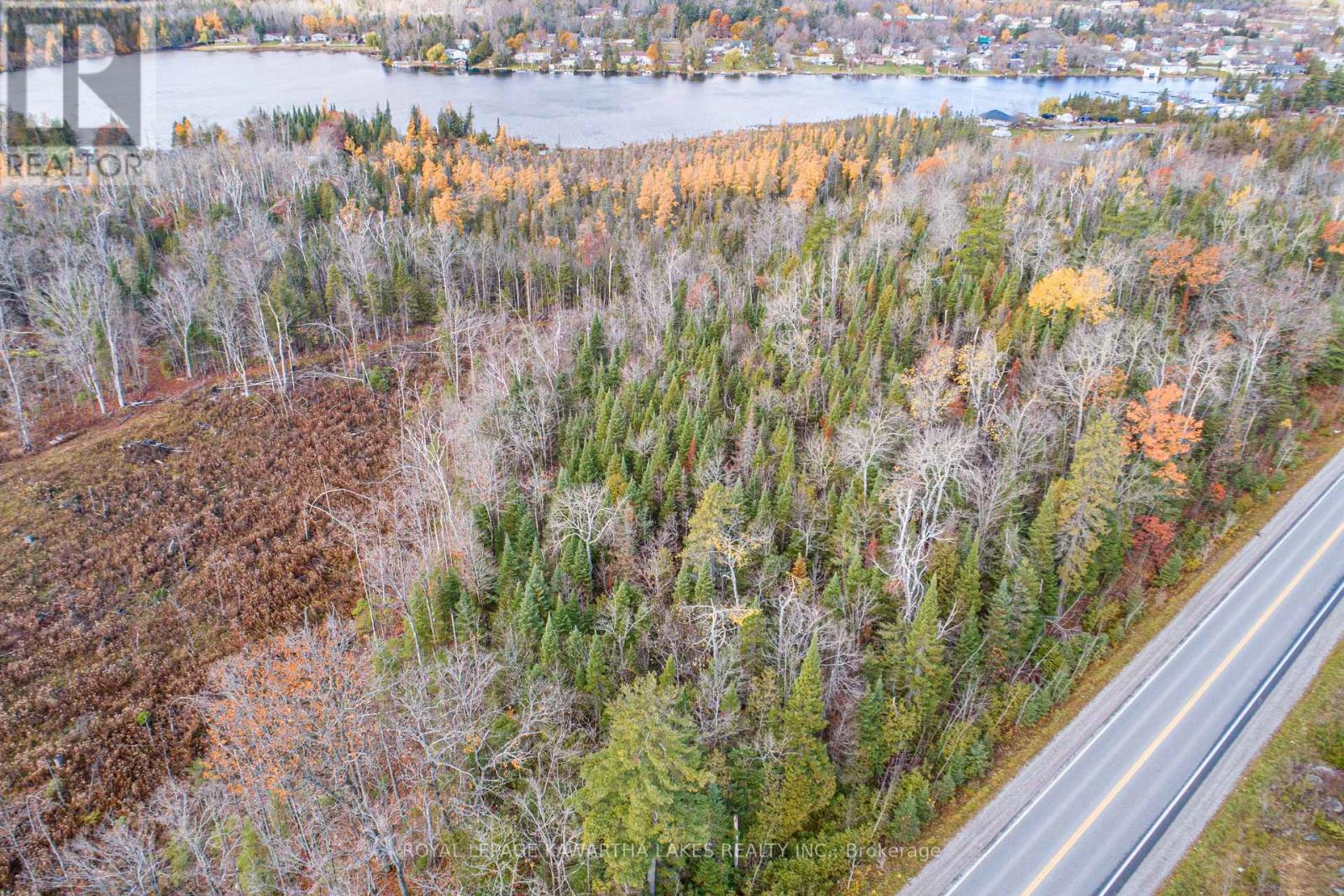 0 Duncombe Drive, Kawartha Lakes, Ontario  K0M 1K0 - Photo 12 - X12522630