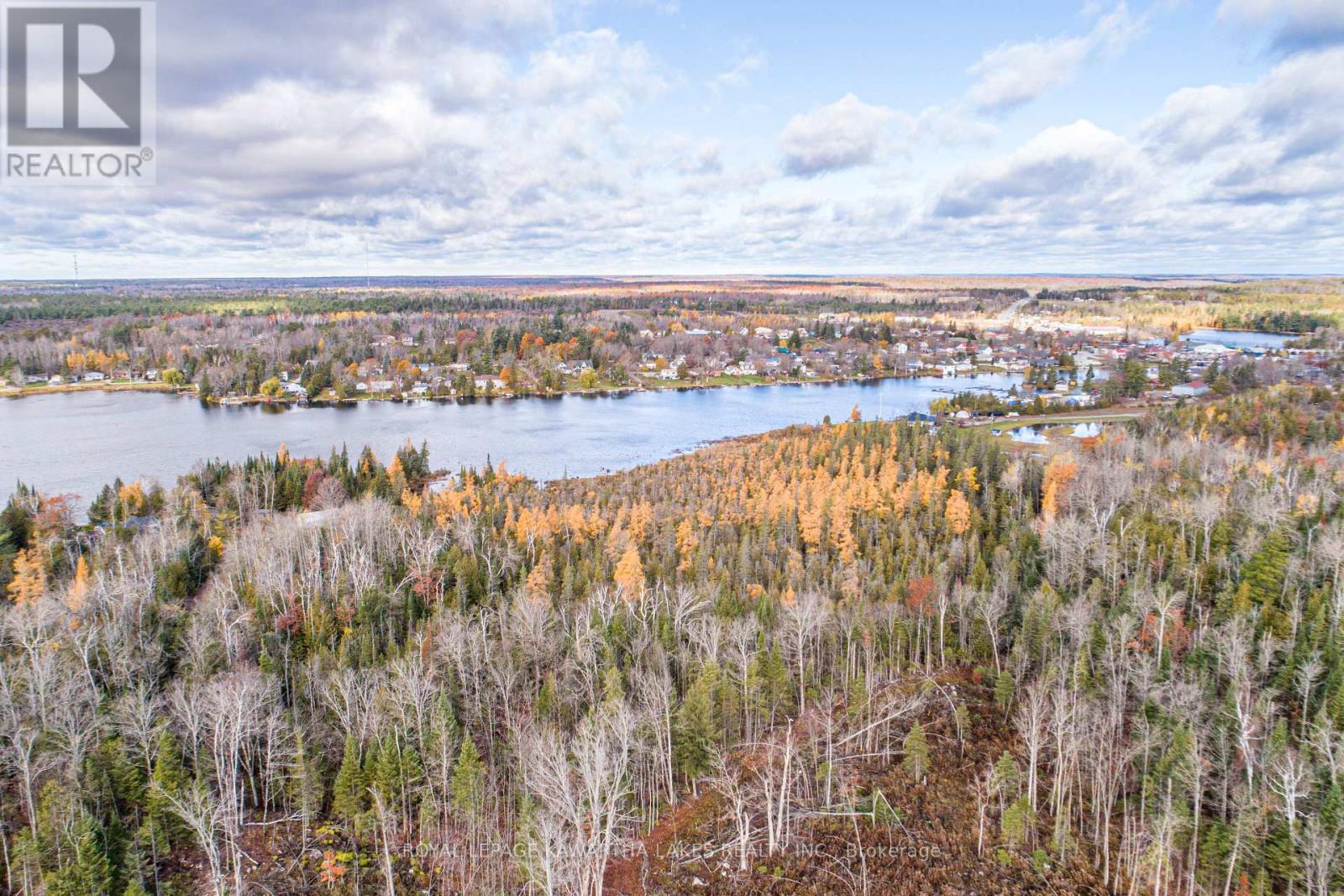 0 Duncombe Drive, Kawartha Lakes, Ontario  K0M 1K0 - Photo 5 - X12522630