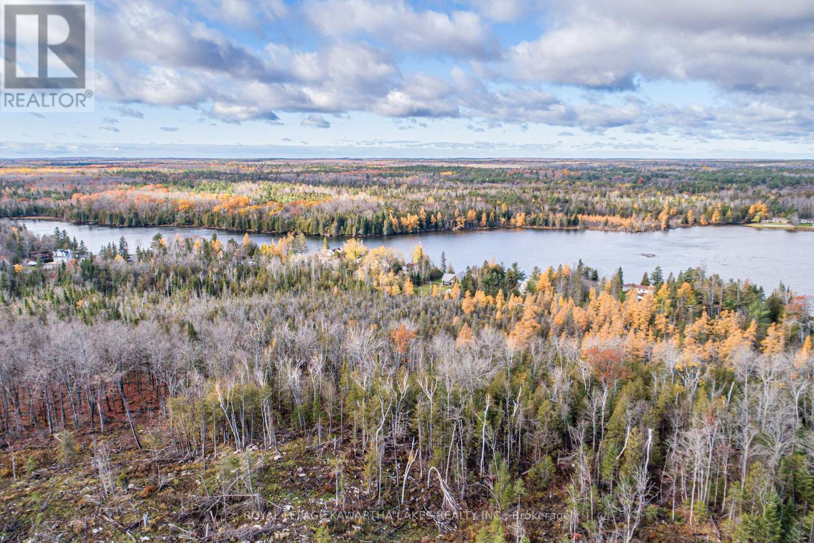 0 Duncombe Drive, Kawartha Lakes, Ontario  K0M 1K0 - Photo 7 - X12522630