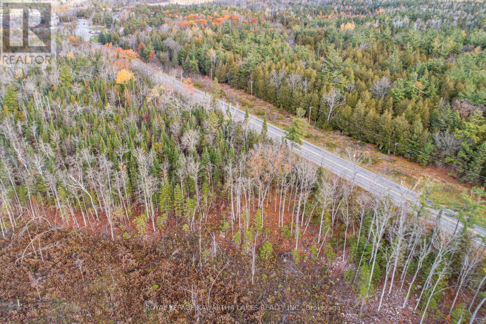 0 Duncombe Drive, Kawartha Lakes, Ontario  K0M 1K0 - Photo 9 - X12522630