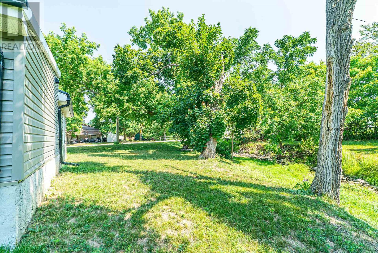 50 St Patrick Street, Kawartha Lakes, Ontario  K9V 1R3 - Photo 28 - X12540502