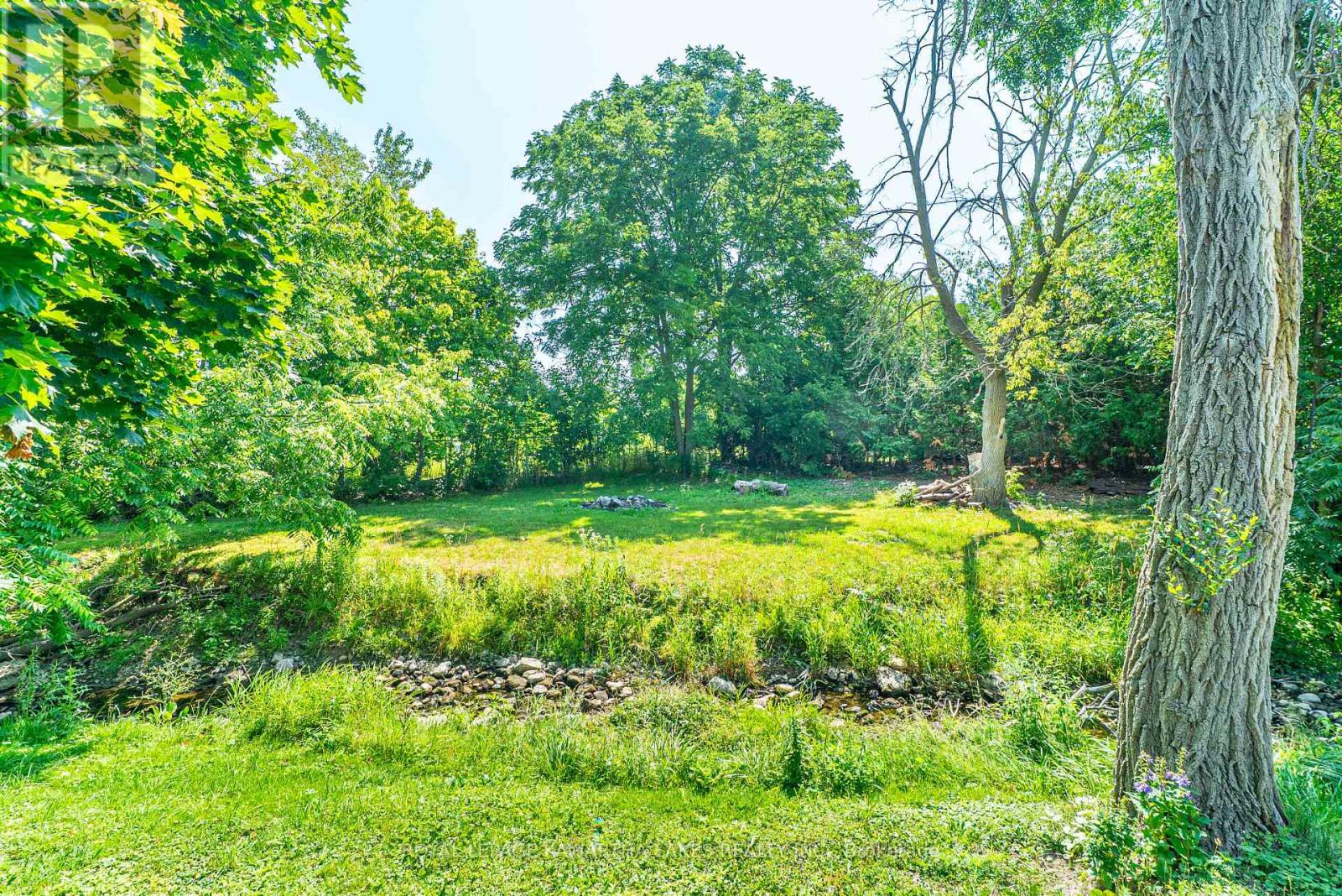 50 St Patrick Street, Kawartha Lakes, Ontario  K9V 1R3 - Photo 32 - X12540502