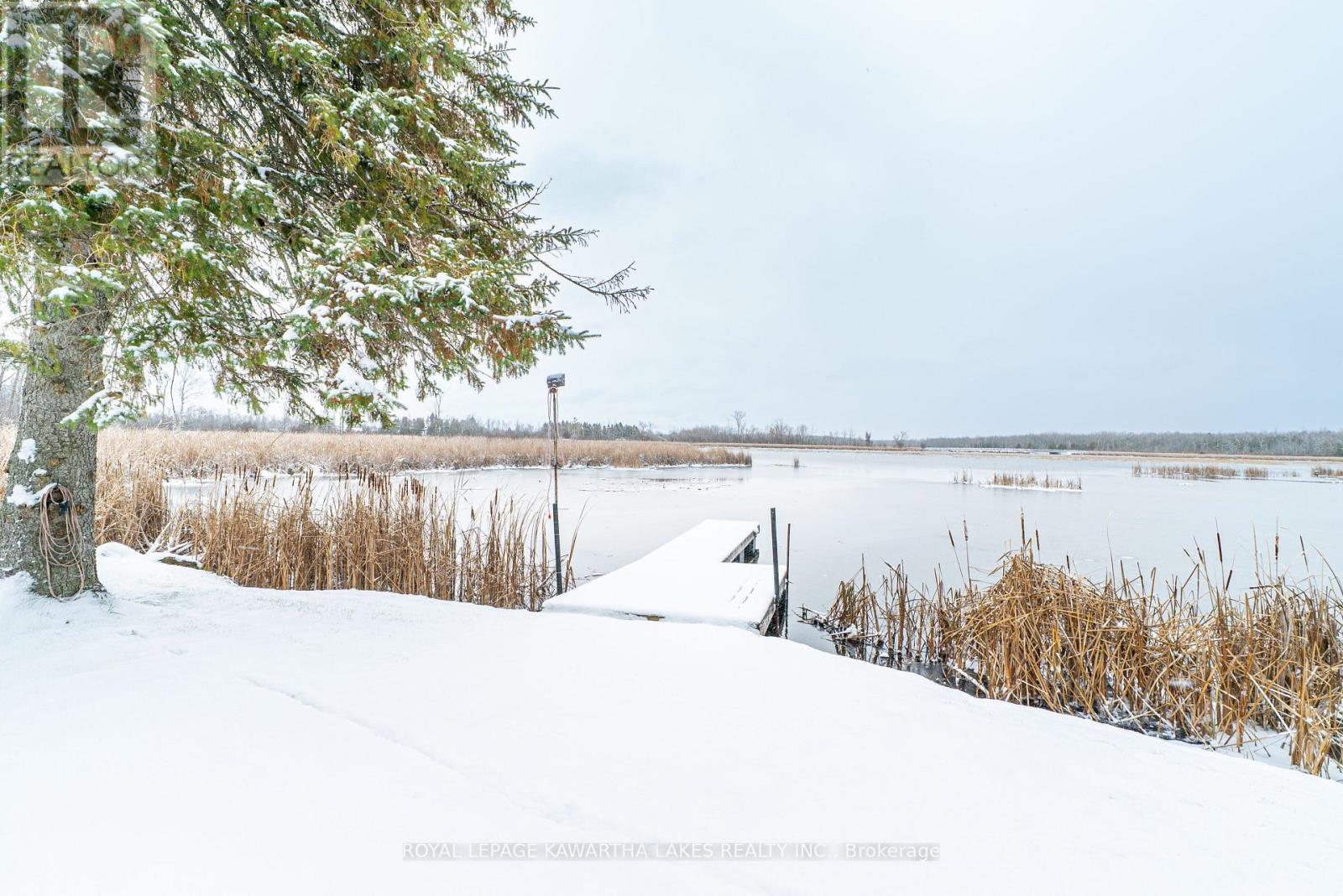 1 Bridle Road, Kawartha Lakes, Ontario  K9V 4R2 - Photo 45 - X12590478