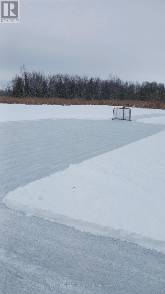 1 Bridle Road, Kawartha Lakes, Ontario  K9V 4R2 - Photo 48 - X12590478