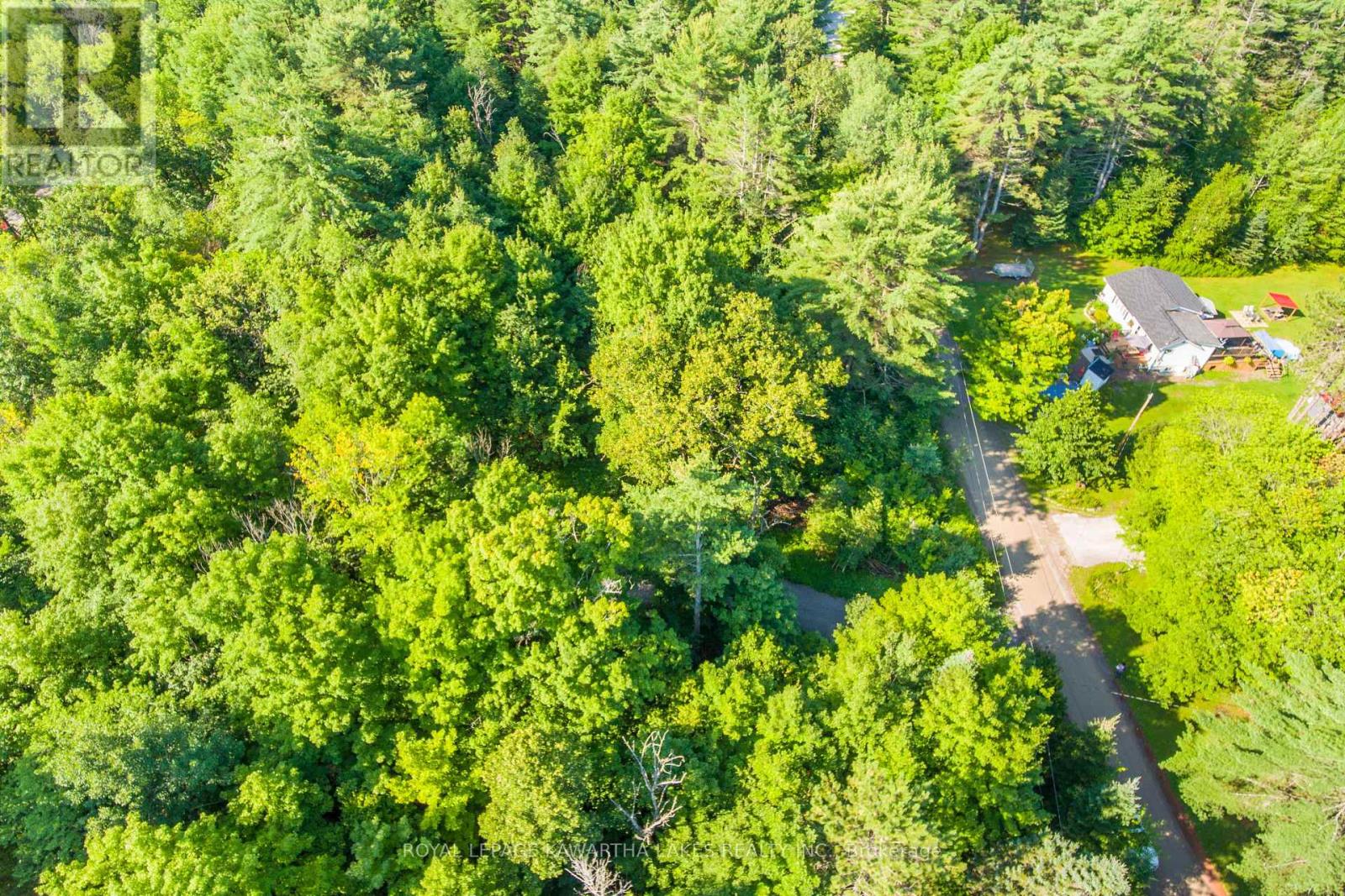 Lt 33 Benson Boulevard, Kawartha Lakes, Ontario  K0M 1K0 - Photo 12 - X12752624