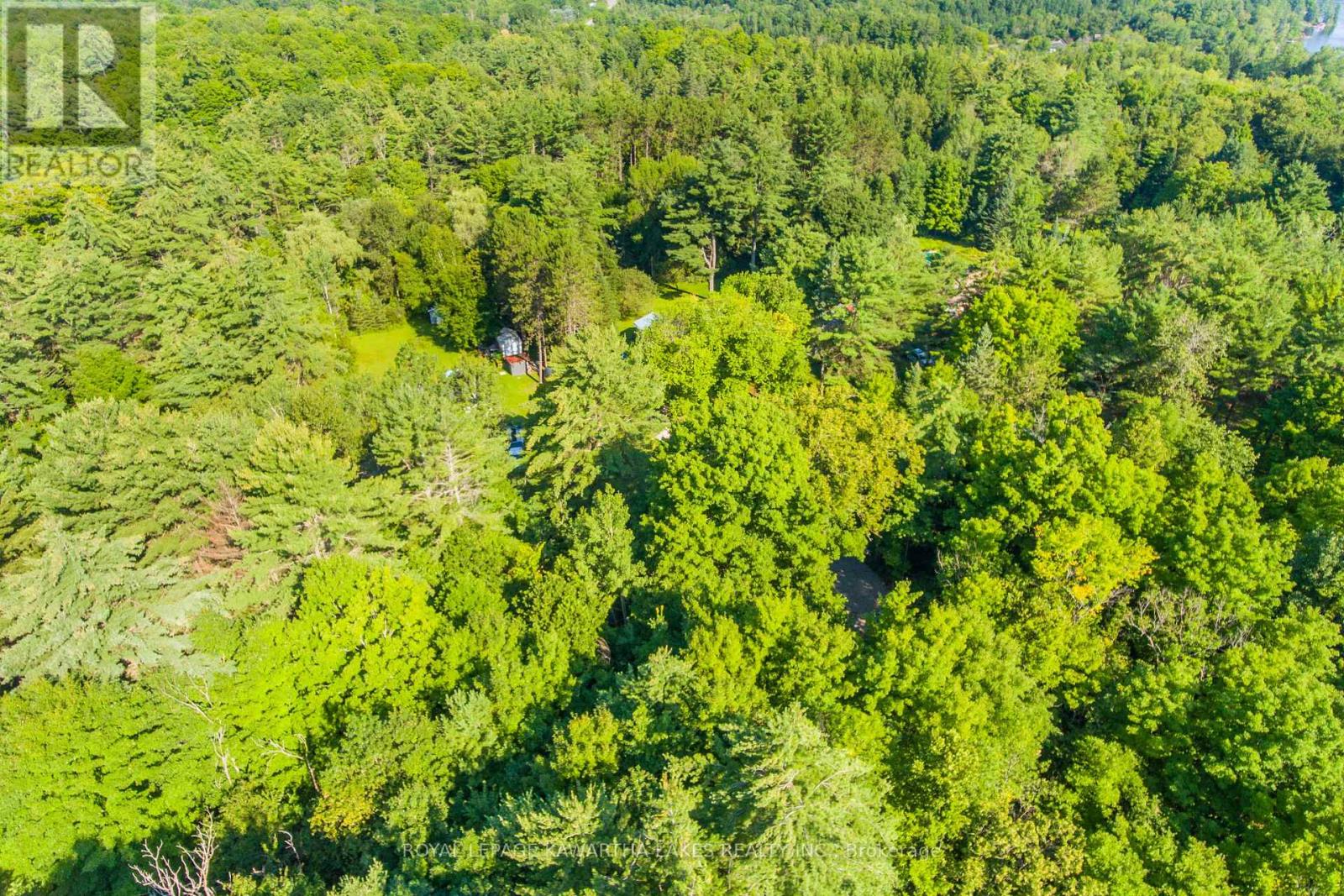 Lt 33 Benson Boulevard, Kawartha Lakes, Ontario  K0M 1K0 - Photo 15 - X12752624