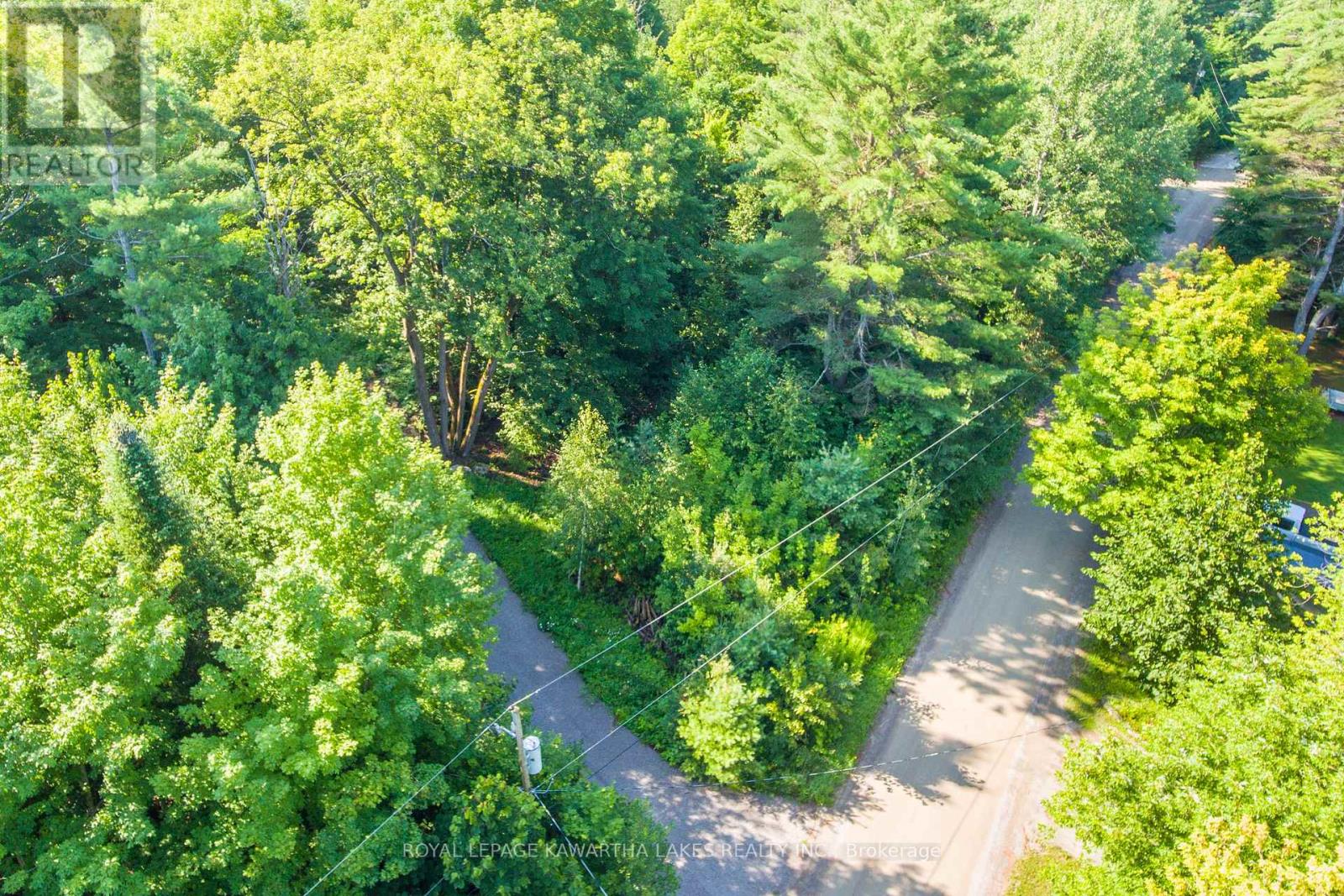 Lt 33 Benson Boulevard, Kawartha Lakes, Ontario  K0M 1K0 - Photo 17 - X12752624