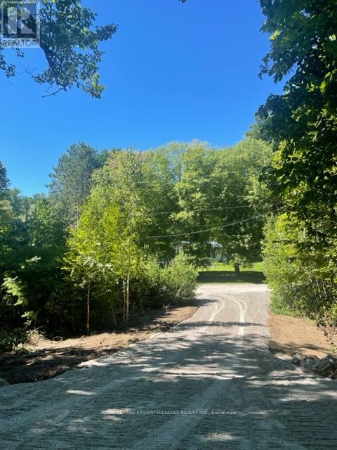 Lt 33 Benson Boulevard, Kawartha Lakes, Ontario  K0M 1K0 - Photo 18 - X12752624