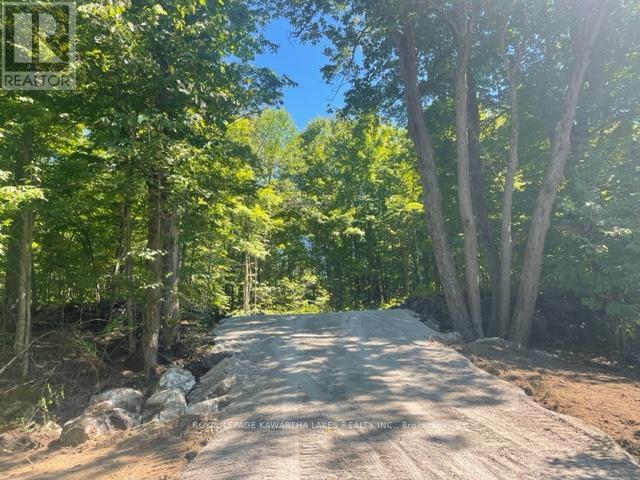 Lt 33 Benson Boulevard, Kawartha Lakes, Ontario  K0M 1K0 - Photo 22 - X12752624