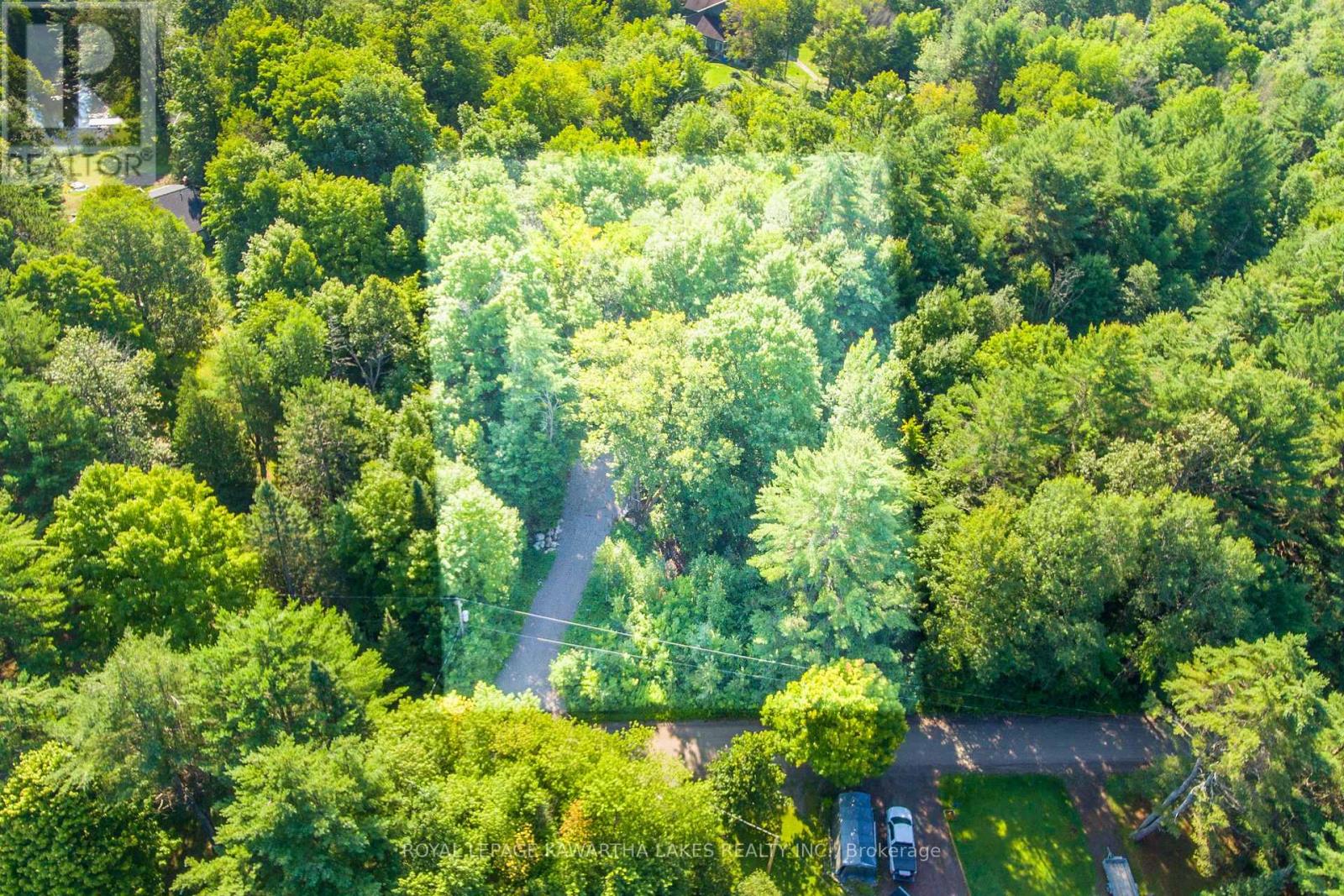 Lt 33 Benson Boulevard, Kawartha Lakes, Ontario  K0M 1K0 - Photo 4 - X12752624