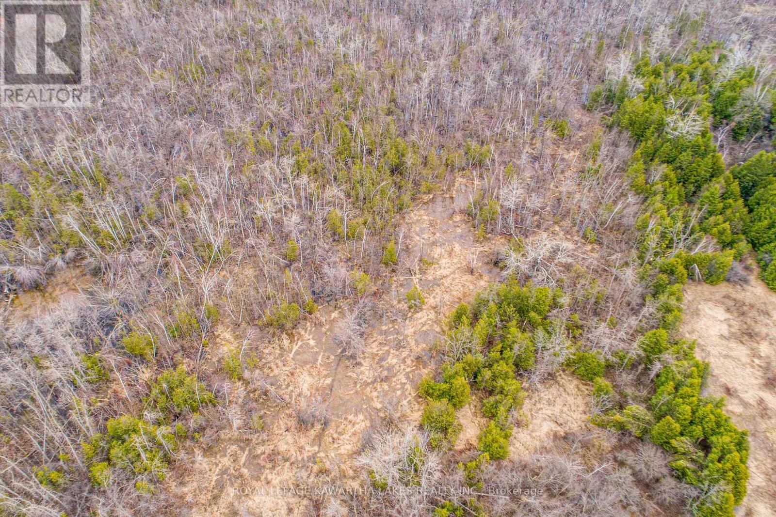 210 Grasshill Road, Kawartha Lakes, Ontario  K0M 2T0 - Photo 8 - X12774542