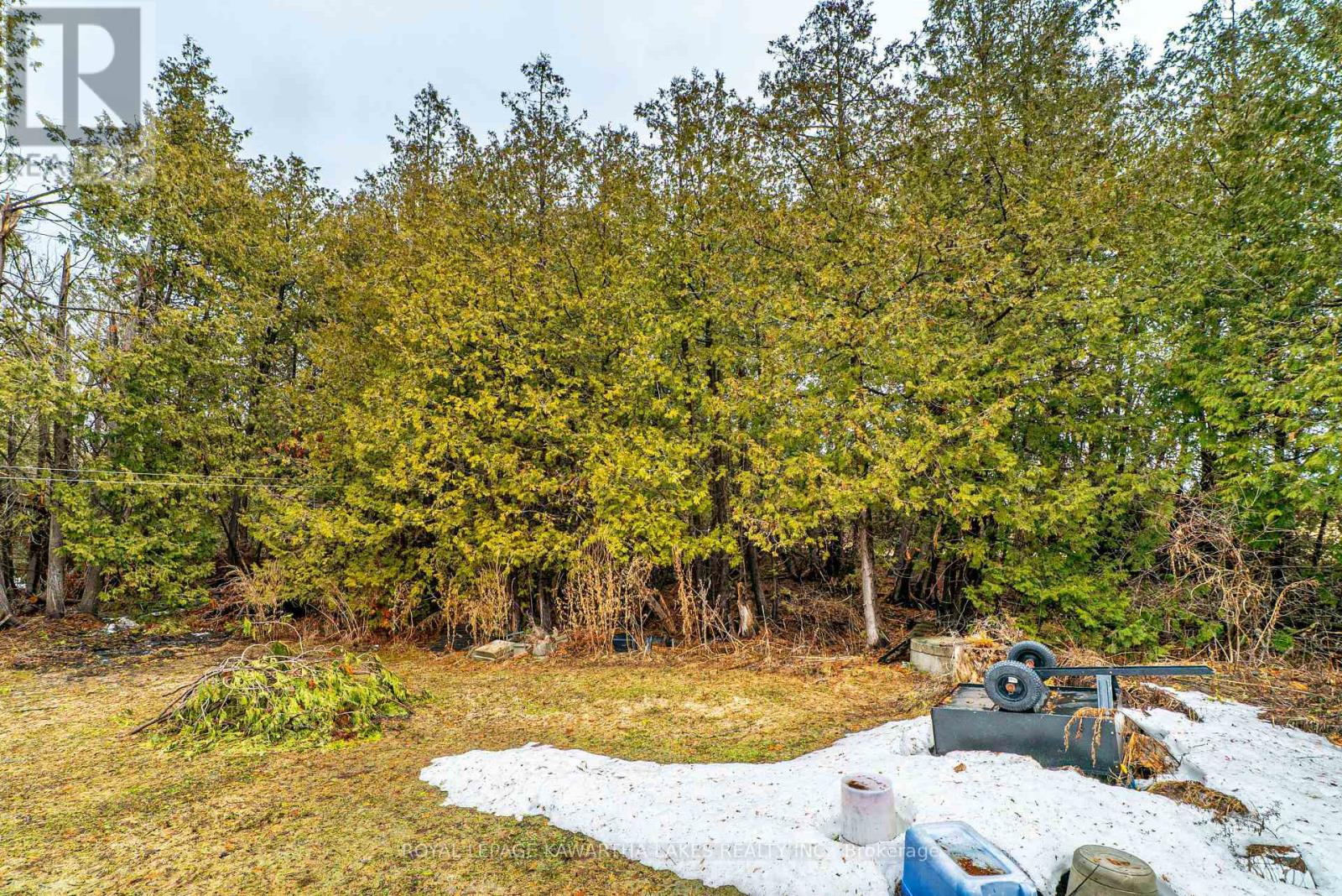 70 Blythe Shore Road, Kawartha Lakes, Ontario  K0M 1N0 - Photo 24 - X12950582