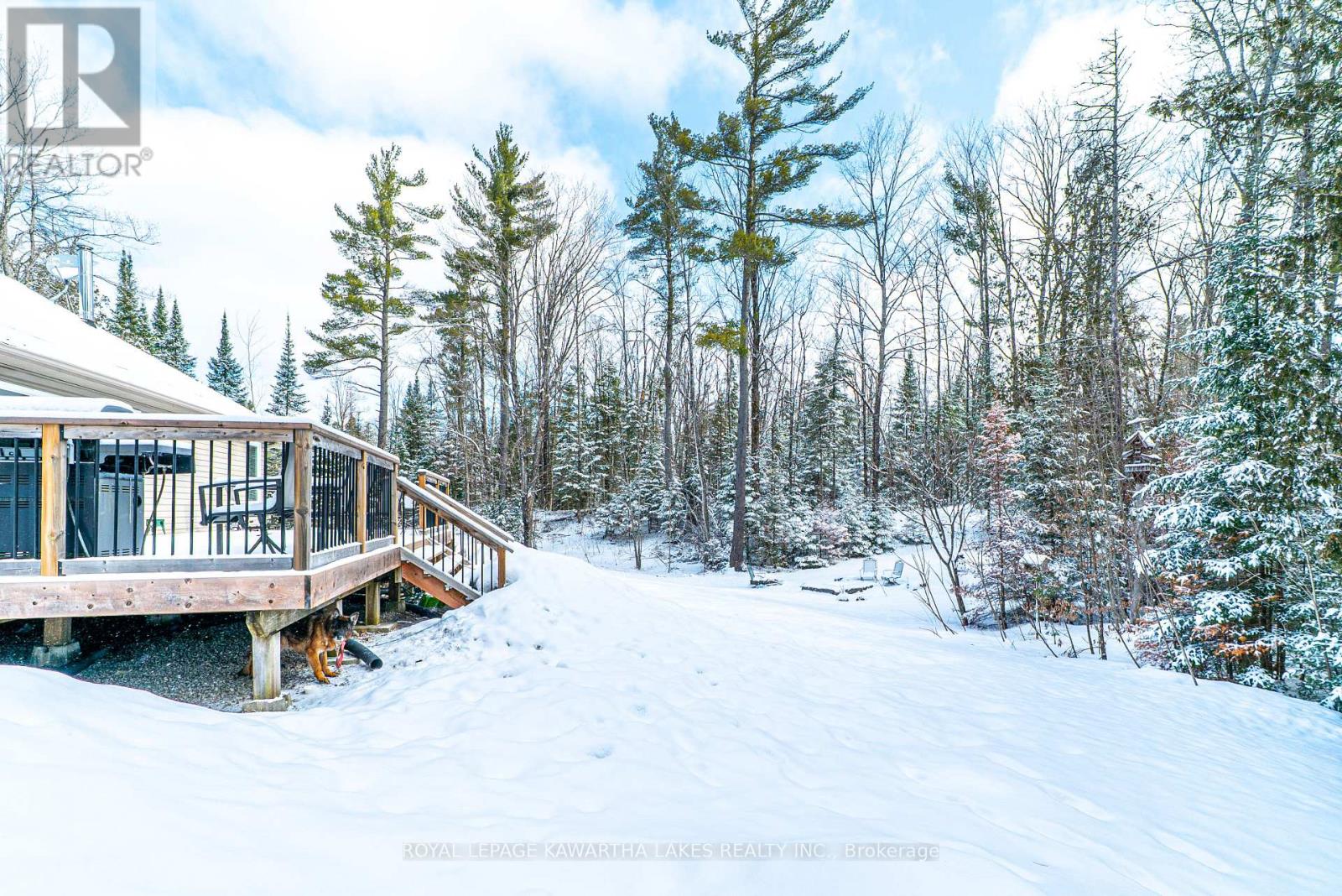 914 County Rd 49, Trent Lakes, Ontario  K0M 1A0 - Photo 35 - X12971700