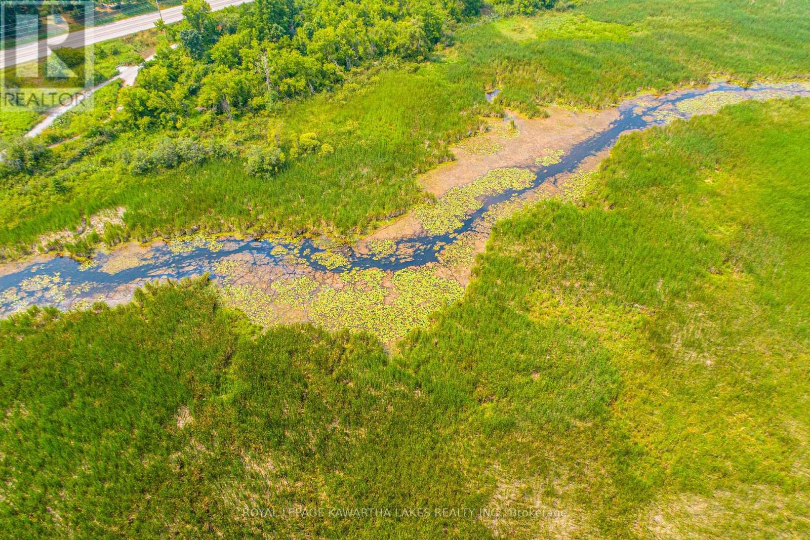 Pt Lt 13 Con 6, Brock, Ontario  L0C 1H0 - Photo 11 - N12972012