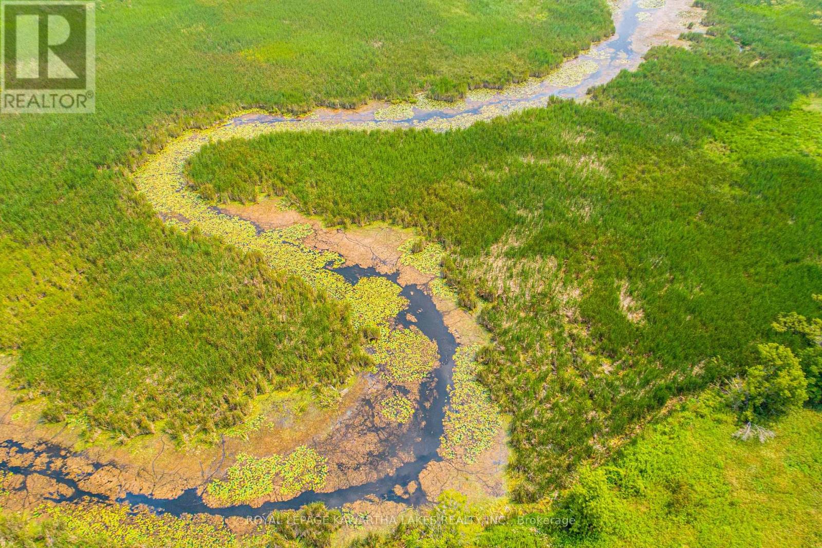 Pt Lt 13 Con 6, Brock, Ontario  L0C 1H0 - Photo 5 - N12972012