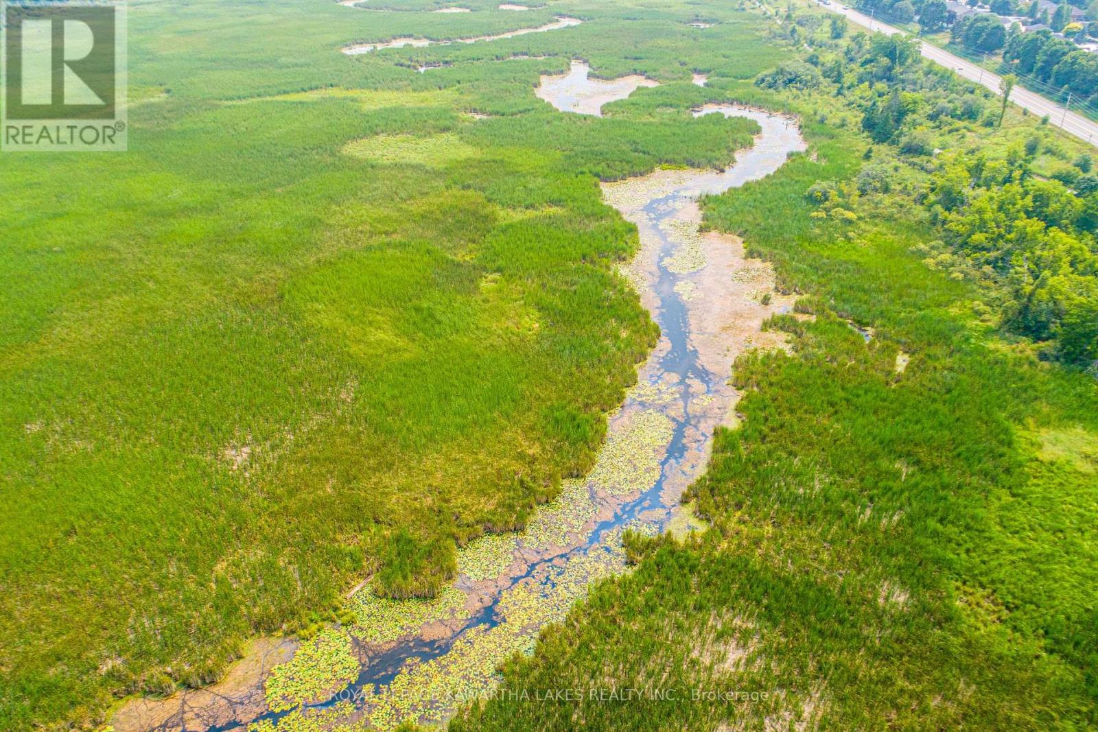 Pt Lt 13 Con 6, Brock, Ontario  L0C 1H0 - Photo 6 - N12972012