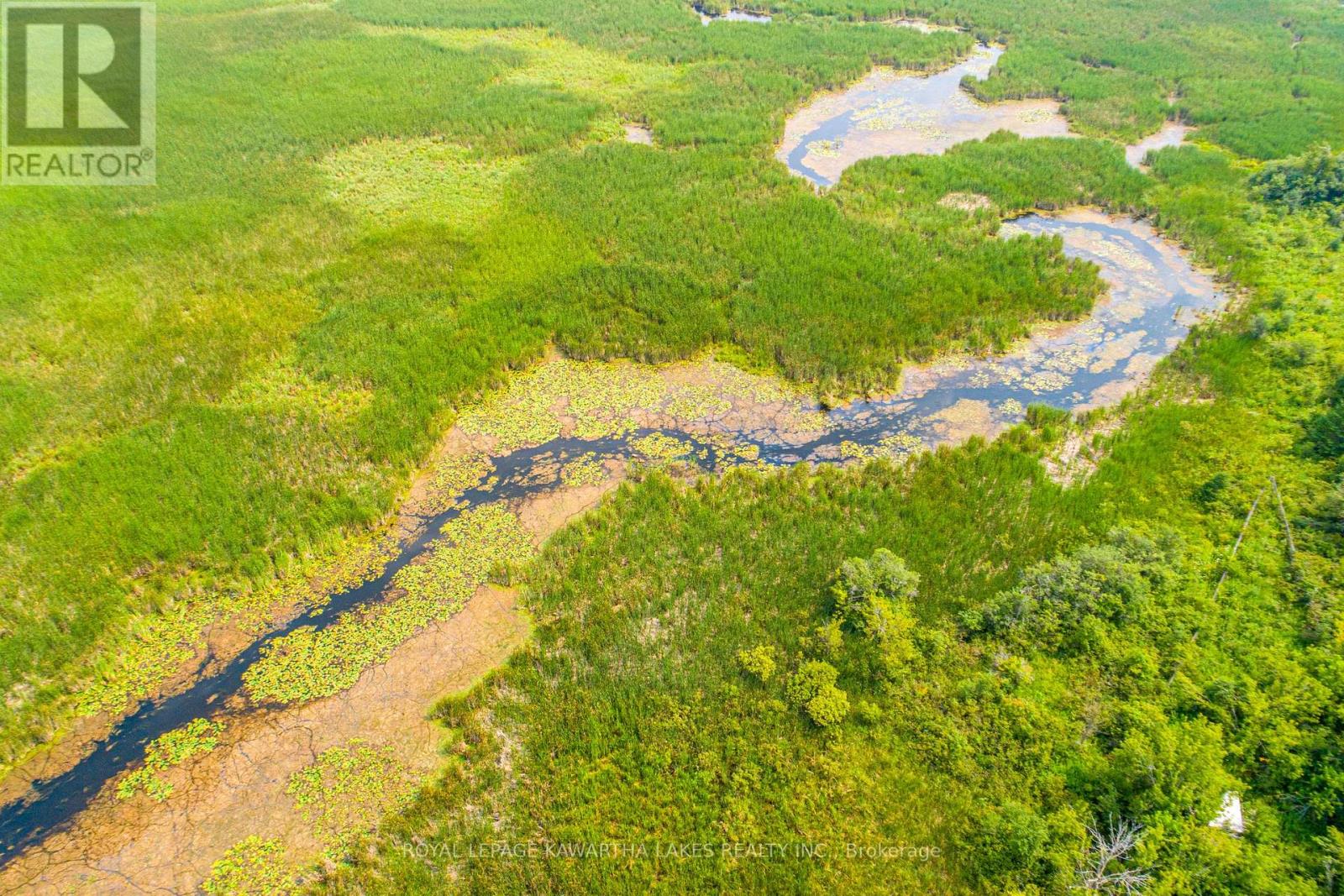 Pt Lt 13 Con 6, Brock, Ontario  L0C 1H0 - Photo 7 - N12972012