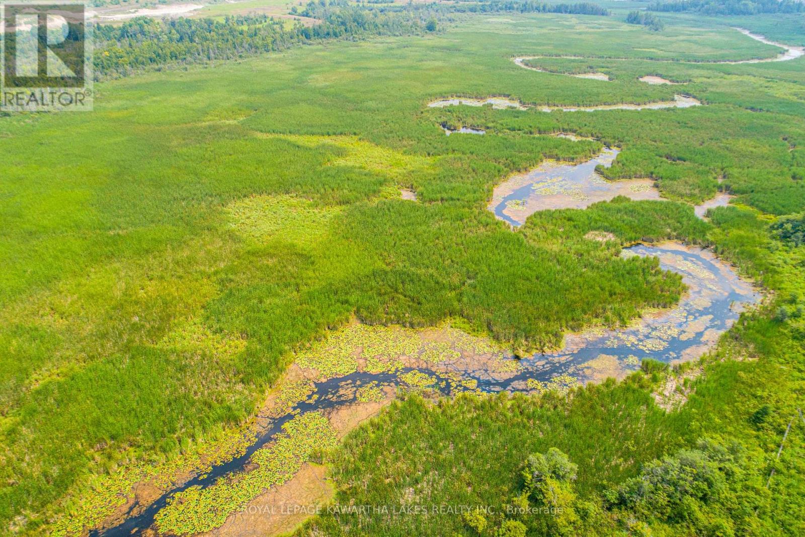 Pt Lt 13 Con 6, Brock, Ontario  L0C 1H0 - Photo 8 - N12972012