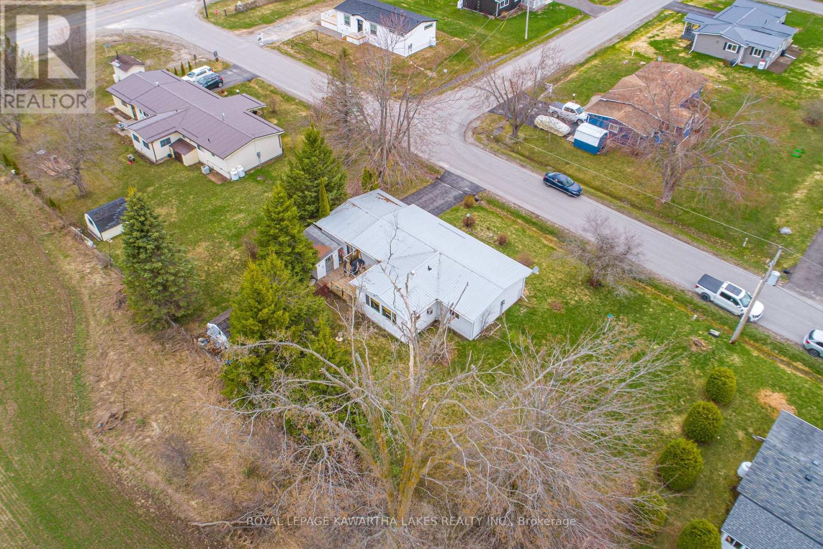 4 Vista Drive, Kawartha Lakes, Ontario  K9V 4R1 - Photo 24 - X13041104