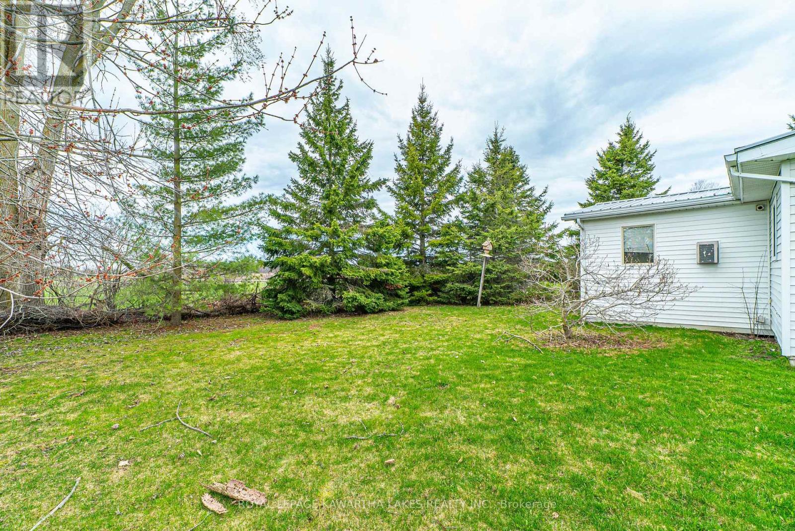 4 Vista Drive, Kawartha Lakes, Ontario  K9V 4R1 - Photo 31 - X13041104