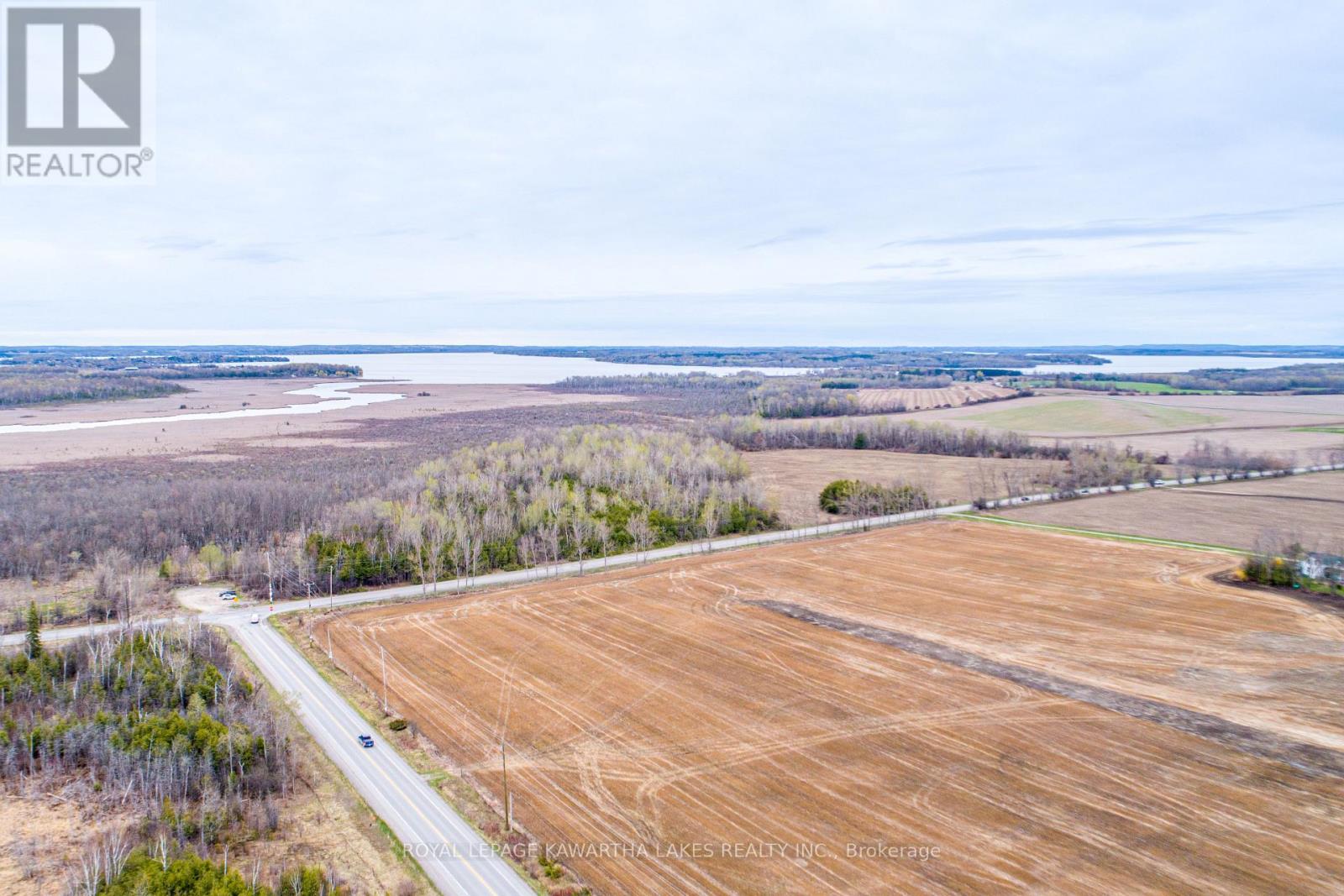 890 Ramsey Road, Kawartha Lakes, Ontario  K0M 2C0 - Photo 11 - X13079264