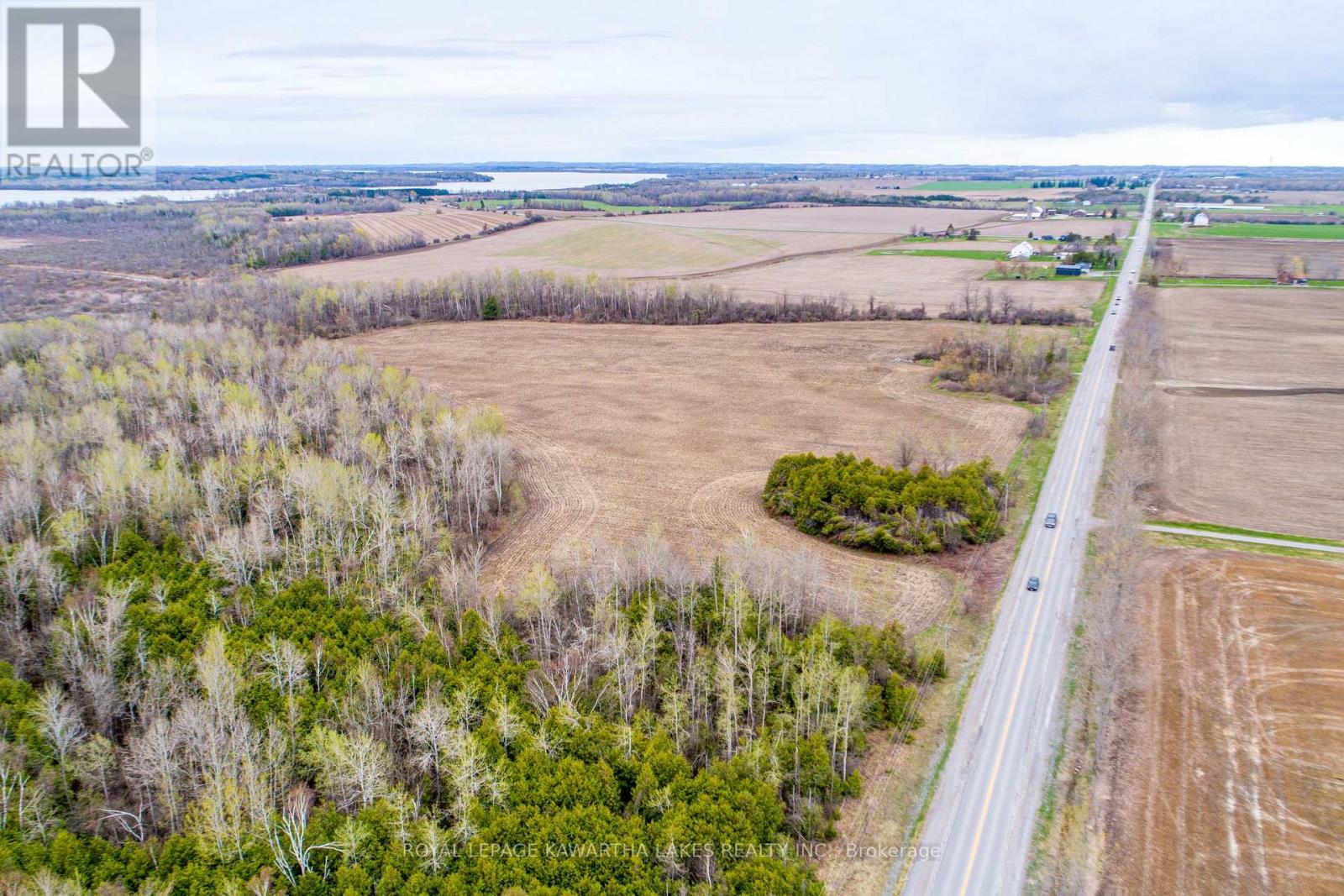 890 Ramsey Road, Kawartha Lakes, Ontario  K0M 2C0 - Photo 12 - X13079264